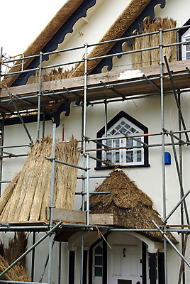 포토 JPG 해외이미지 전통 농업 건축양식 지붕 새로움 주택 사람없음 건물 신선 업무 작업 변화 수리 땅 시골집 밀짚 발판 개발 볏집 업그레이드 해외202004 해외포토 건축물 건축 산업 컨셉 짚 파일형식 이미지허브