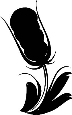 EPS 해외이미지 손 디자인 꽃 백그라운드 잎 겨울 꽃무늬 패턴 일러스트 자연 휴가 새로움 잉크 미술 여러명 장식 검은색 페인트 수확 연도 문신 질감 복고 서리 동쪽 부족 구성 그런지 우크라이나 페이즐리 해외202004 해외일러스트 식물 계절 유럽 컬러 다수 컨셉 무늬 농업 문화예술 사람 신체부위 방향 생태계 파일형식 벡터 이미지허브