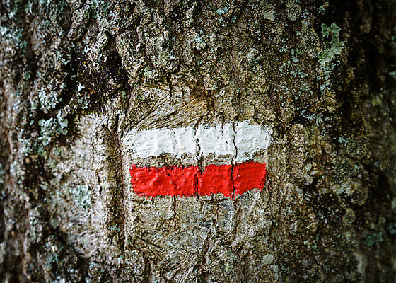 포토 JPG 해외이미지 나무 공원 유럽 길 여행 무늬 자국 자연 사람없음 야외 목재 빨간색 걷기 페인트 줄무늬 산책 트래킹 하이킹 프랑스 흰색 시골 숲 오솔길 방향 심볼 흔적 사인 프랑스어 방법 선로 오리엔테이션 해외202004 해외포토 식물 문자 공공시설 나라 컬러 재료 모션 레저 휴식 생태계 파일형식 이미지허브