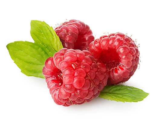 포토 JPG 해외이미지 식물 계절 열매 음식 줄기 잎 다이어트 과일 재료 자연 디저트 건강 사람없음 빨간색 초록색 여름 흰색 신선 그룹 달콤 맛 자르기 다발 먹기 허브 흰배경 유기농 날것 산딸기 내추럴 고립 숙성 신맛 채식주의자 해외202004 해외포토 웰빙 컬러 백그라운드 컨셉 모션 생태계 채식 파일형식 이미지허브