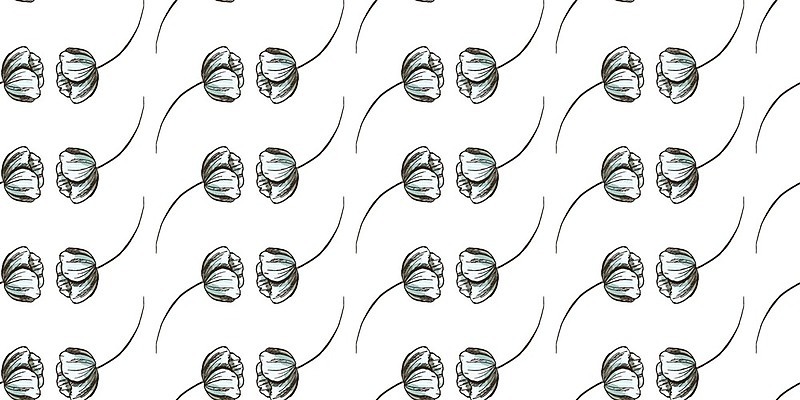 EPS 해외이미지 식물 손 디자인 꽃잎 꽃 꽃다발 백그라운드 꽃무늬 패턴 일러스트 자연 벽지 여름 유행 봄 수확 벚꽃 흰색 직물 인쇄 스케치 타일 그림 질감 복고 내추럴 오리지널 히피 해외202004 해외일러스트 계절 컬러 무늬 농업 미술 신체부위 생태계 파일형식 벡터 이미지허브