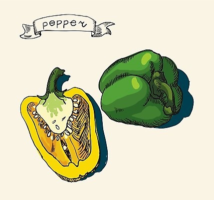 EPS 해외이미지 음식 백그라운드 농업 다이어트 채소 일러스트 부분 자연 파프리카 요리 초록색 여름 식당 식사 샐러드 신선 낙서 먹기 메뉴 상쾌 유기농 건강식 채식주의자 해외202004 해외일러스트 웰빙 계절 감정 산업 컬러 모션 건강 상점 생태계 채식 파일형식 벡터 이미지허브