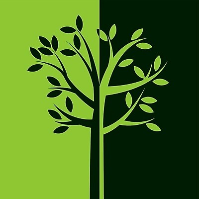 EPS 해외이미지 나무 디자인 실루엣 백그라운드 잎 일러스트 자연 초록색 성장 나뭇가지 심볼 에코 내추럴 기본 지구의날 해외202004 해외일러스트 식물 기념일 컬러 촬영기법 환경 생태계 파일형식 벡터 이미지허브