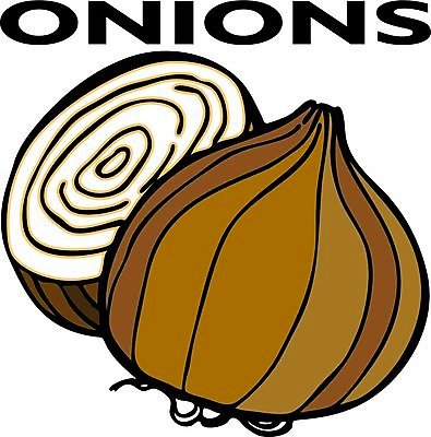 EPS 해외이미지 클립아트 음식 채소 일러스트 텍스트 양파 미술 그래픽 세트 검은색 흰색 낙서 만화 스케치 수집 오브젝트 그림 클립 고립 해외202004 해외일러스트 컬러 문화예술 파일형식 벡터 이미지허브