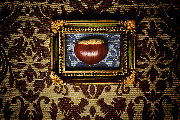 포토 JPG 해외이미지 1 계절 음식 벽 백그라운드 컨셉 단풍 과일 프레임 미술 씨앗 이벤트 사람없음 장식 컬러풀 갈색 유행 견과류 수확 껍질 가을 신선 고급 미술관 전시회 피부 묘사 그림 유기농 찌르기 10월 내추럴 빅토리아 옛날 채식주의자 챔피언 특별함 스타일 해외202004 해외포토 식물 웰빙 컬러 잎 농업 모션 문화예술 신체부위 전시 날짜 채식 파일형식 이미지허브