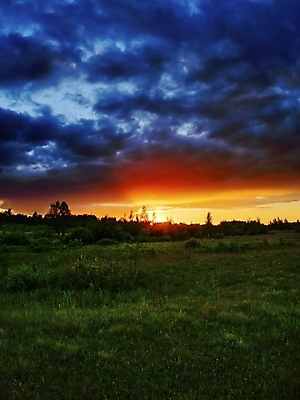 포토 JPG 해외이미지 구름 꽃 밭 오렌지 날씨 사람없음 초록색 여름 파란색 태양 어둠 침묵 일몰 저녁 숲 넘어짐 해외202004 해외포토 자연요소 식물 계절 컬러 농업 과일 모션 노을 소리 야간 파일형식 이미지허브