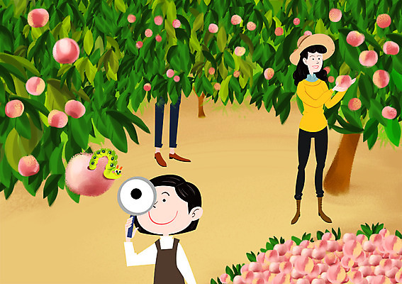 주간 PSD 나무 여자 남자 어린이 과일 일러스트 가족 자연 돋보기 사람 성인 야외 세명 농사 수확 관찰 계획 즐거움 상쾌 복숭아 귀농 애벌레 국내일러스트 자연요소 식물 감정 컨셉 농업 관계 모션 벌레 생태계 파일형식
