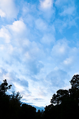 포토 JPG 해외이미지 나무 구름 분홍색 하늘 파노라마 사람없음 목재 파란색 검은색 일몰 해외202004 해외포토 자연요소 식물 컬러 재료 촬영기법 노을 파일형식 이미지허브