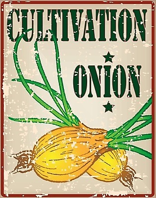 EPS 해외이미지 디자인 산업 백그라운드 채소 일러스트 양파 프레임 미술 그래픽 초록색 세트 노란색 라벨 환경 수확 골동품 껍질 신용카드 클래식 매끈함 심볼 오브젝트 사인 메뉴 유기농 복고 날것 그런지 밭일 옛날 스타일 해외202004 해외일러스트 웰빙 컬러 컨셉 농업 문화예술 금융 감각 파일형식 벡터 이미지허브