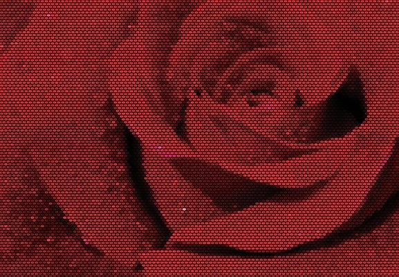 EPS 해외이미지 식물 기념일 꽃잎 꽃 백그라운드 꽃무늬 일러스트 자연 결혼식 휴가 발렌타인데이 선물 사랑 빨간색 물 장미 정원 젖음 벚꽃 신선 우아함 이슬 심볼 향수 순수 묘사 싱글 향기 열정 부드러움 접기 해외202004 해외일러스트 자연요소 감정 컬러 결혼 컨셉 무늬 모션 데이이벤트 이벤트 화장품 감각 생태계 냄새 파일형식 벡터 이미지허브