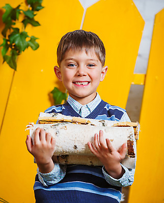 포토 JPG 해외이미지 나무 백인 남자 어린이 백그라운드 부분 모션 건조 한명 사람 소년 목재 울타리 노란색 쌓기 수확 공구 아기 업무 균열 장작 자르기 배열 통나무 도끼 연료 수납 자작나무 자원 잡동사니 헛간 다리찢기 내추럴 수목 수집가 접기 조작 해외202004 해외포토 서양인 식물 직업 1 컬러 농업 재료 담장 도구 작업 저장고 파일형식 이미지허브