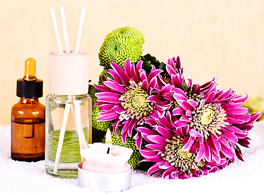 포토 JPG 해외이미지 라이프스타일 바다 자연 휴식 건강 사람없음 치료 상점 숟가락 스파 화장품 껍질 대접 마사지 양념 씻기 피부 명상 피부관리 유기농 아로마테라피 테라피 내추럴 돌봄 위생관리 해외202004 해외포토 웰빙 컨셉 의학 모션 수저 관리 생활 신체부위 뷰티 청결 생태계 파일형식 이미지허브