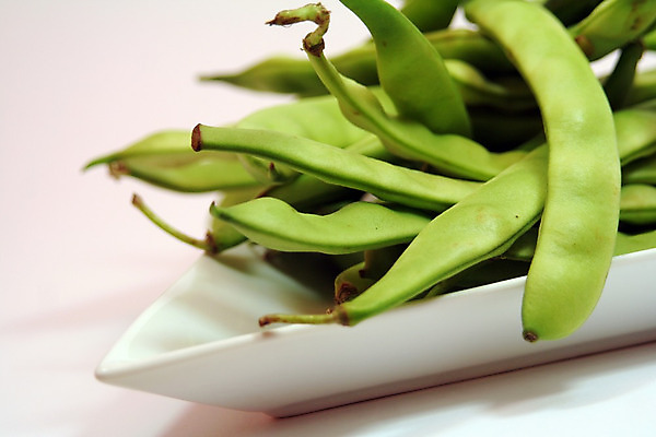 포토 JPG 해외이미지 음식 채소 콩 건강 사람없음 초록색 신선 해외202004 해외포토 컬러 곡류 파일형식 이미지허브