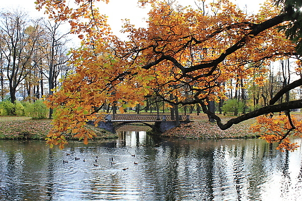 포토 JPG 해외이미지 나무 구름 호수 자연 하늘 사람없음 반사 가을 시트 해외202004 해외포토 자연요소 식물 계절 생태계 파일형식 이미지허브