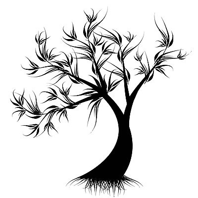 EPS 해외이미지 나무 식물 디자인 계절 꽃 실루엣 백그라운드 잎 꽃무늬 패턴 일러스트 자연 추상 미술 장식 유행 검은색 성장 소용돌이 흰색 나뭇가지 심볼 질감 해외202004 해외일러스트 컬러 무늬 문화예술 촬영기법 회오리 생태계 파일형식 벡터 이미지허브