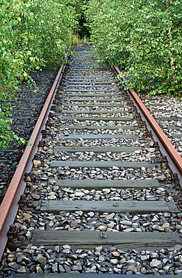 포토 JPG 해외이미지 나무 식물 교통시설 자연 사람없음 세로 끝 버리기 트랙 종료 그만 선로 해외202004 해외포토 교통 모션 시설 생태계 파일형식 이미지허브