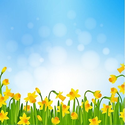 EPS 해외이미지 식물 구름 계절 꽃 꽃다발 백그라운드 꽃무늬 밭 일러스트 자연 하늘 부활절 풍경 초록색 여름 햇빛 태양 노란색 평화 정원 맑음 봄 벚꽃 흰색 땅 다발 허브 장면 수선화 내추럴 캐모마일 해외202004 해외일러스트 자연요소 기념일 컬러 컨셉 무늬 농업 날씨 생태계 파일형식 벡터 이미지허브