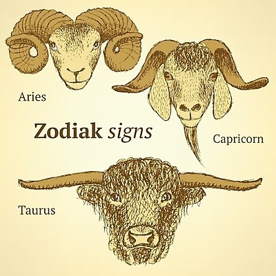 EPS 해외이미지 동물 손 디자인 남자 야생동물 백그라운드 컨셉 일러스트 포유류 자연 염소 새로움 산 수염 뿔 미술 그래픽 장식 머리 중국 페인트 수확 양 그리기 만화 스케치 연도 심볼 타일 사인 그림 황소 복고 판화 양자리 염소자리 황소자리 동쪽 그런지 램 엘리먼트 현실 해외202004 해외일러스트 아시아 농업 모션 문화예술 사람 신체부위 별자리 소 방향 생태계 파일형식 벡터 이미지허브