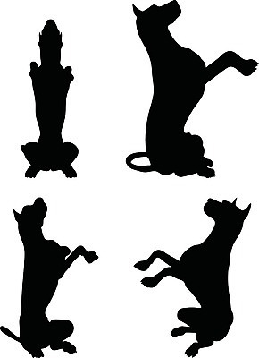 EPS 해외이미지 동물 실루엣 새끼 포즈 일러스트 자연 그림자 그래픽 검은색 개 강아지 스케치 흰배경 사냥개 윤곽 송곳니 구걸 고립 엘리먼트 해외202004 해외일러스트 컬러 백그라운드 포유류 촬영기법 미술 반려동물 흰색 치아 생태계 파일형식 벡터 이미지허브