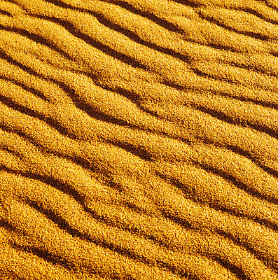 포토 JPG 해외이미지 디자인 모래 섬 여행 백그라운드 자연 휴가 불가사리 사람 사람없음 야외 여름 태양 질감 각인 해외202004 해외포토 자연요소 계절 극피동물 생태계 파일형식 이미지허브