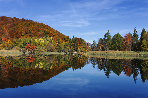 포토 JPG 해외이미지 나무 식물 공원 유럽 호수 여행 자연 휴가 산 파노라마 풍경 사람없음 야외 목재 초록색 물 강 세계 반사 환경 흐름 가을 바위 연못 신선 개울 재산 떨어짐 숲 호기심 천국 크로아티아 내추럴 전국 파라다이스 해외202004 해외포토 자연요소 계절 공공시설 감정 나라 컬러 컨셉 재료 촬영기법 금융 돌_바위 생태계 파일형식 이미지허브
