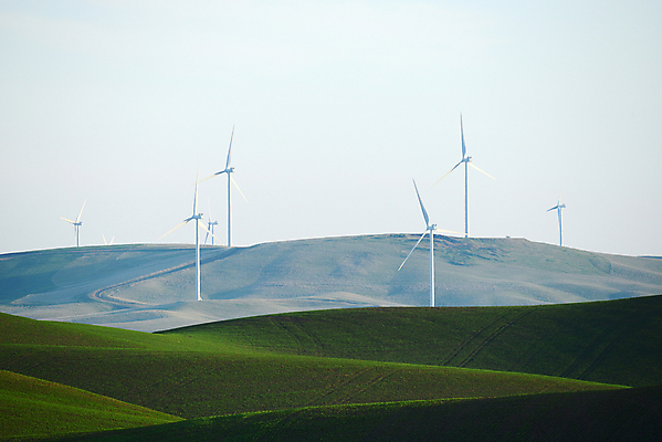포토 JPG 해외이미지 나무 식물 공원 밭 농업 자연 바람 풍경 사람없음 초록색 농작물 컬러풀 농장 농경지 미국 힘 봄 발전기 에너지 시골 땅 밀 언덕 보리 방앗간 워싱턴 해외202004 해외포토 자연요소 계절 공공시설 산업 컬러 북아메리카 날씨 곡류 발전소 생태계 파일형식 이미지허브
