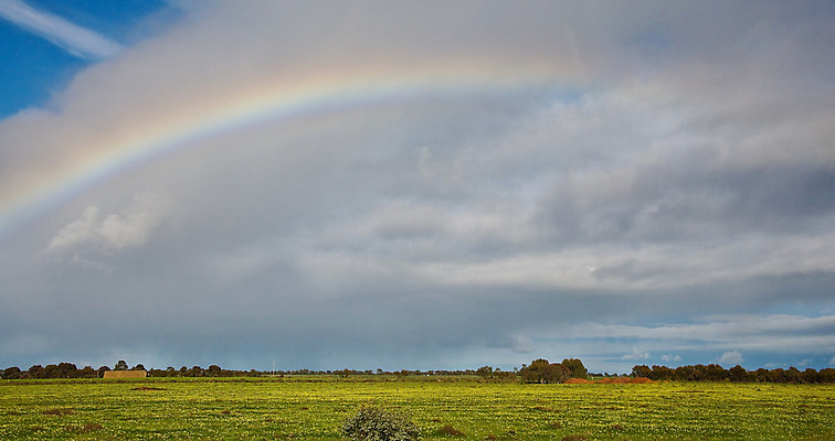 포토 JPG 해외이미지 백그라운드 무지개 오렌지 자연 풍경 사람없음 컬러풀 호주 해외202004 해외포토 자연요소 컬러 과일 오세아니아 생태계 파일형식 이미지허브