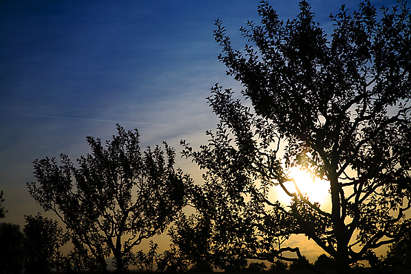 포토 JPG 해외이미지 나무 구름 행복 백그라운드 자연 하늘 날씨 조명 새로움 산 파노라마 사람없음 여름 파란색 빛 컬러풀 햇빛 일출 맑음 검은색 어둠 희망 힘 일몰 시원함 시작 폭풍 천국 해결 빛망울 종료 힘찬 해외202004 해외포토 자연요소 식물 계절 감정 컬러 컨셉 촬영기법 태양 노을 생태계 파일형식 이미지허브