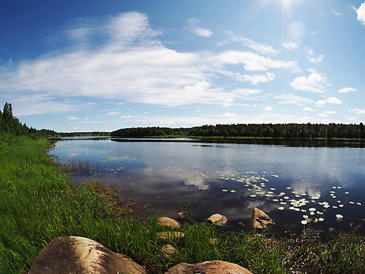포토 JPG 해외이미지 나무 구름 영어 공원 호수 섬 자연 잉글랜드 주택 풍경 잔디 사람없음 옆모습 초록색 물 여름 강 정원 시골 숲 강가 땅 맨션 원예 러시아 조경 장면 흐림 전국 정중 해외202004 해외포토 자연요소 식물 문자 계절 공공시설 유럽 뷰포인트 컬러 컨셉 날씨 영국 취미 건물 생태계 파일형식 이미지허브