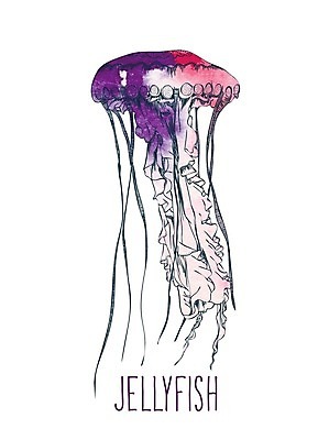 EPS 해외이미지 동물 손 디자인 배너 실루엣 종이 야생동물 선 바다 백그라운드 패턴 일러스트 자연 추상 휴가 수채화 어류 미술 그래픽 물 수중 수영 수확 신용카드 우아함 낙서 만화 스케치 잠수함 문신 그림 질감 복고 해파리 내추럴 그런지 엘리먼트 해외202004 해외일러스트 자연요소 컨셉 무늬 농업 문화예술 촬영기법 신체부위 금융 수중동물 수상스포츠 자포동물 생태계 파일형식 벡터 이미지허브