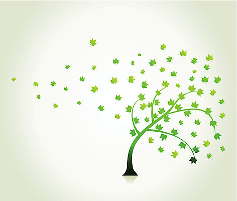 EPS 해외이미지 나무 식물 디자인 꽃 백그라운드 단풍 잎 꽃무늬 일러스트 자연 뿔 미술 풍경 목재 초록색 여름 환경 봄 가을 만화 꼬리 자작나무 내추럴 아카시아 재 해외202004 해외일러스트 계절 컬러 무늬 재료 문화예술 생태계 파일형식 벡터 이미지허브