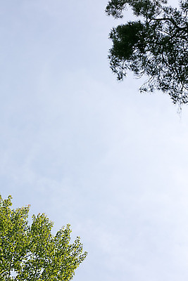 포토 JPG 해외이미지 나무 식물 구름 모래 파도 바다 섬 여행 잎 자연 하늘 휴가 휴식 손바닥 풍경 사람없음 야외 초록색 물 여름 파란색 햇빛 태양 맑음 침묵 흰색 만 뜨거움 휴양지 코코넛 대서양 석호 파라다이스 해외202004 해외포토 자연요소 손 계절 컬러 컨셉 과일 날씨 소리 장소 생태계 파일형식 이미지허브