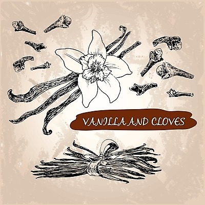 EPS 해외이미지 꽃 선 음식 겨울 일러스트 잉크 건조 요리 그래픽 갈색 식당 요리사 수확 가을 양념 달콤 맛 낙서 스케치 굽기 향신료 그림 레시피 꼬투리 바닐라 해외202004 해외일러스트 식물 직업 계절 컬러 컨셉 농업 미술 상점 구이 향미료 파일형식 벡터 이미지허브