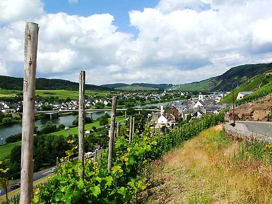 포토 JPG 해외이미지 풍경 사람없음 강 마을 포도밭 해외202004 해외포토 밭 파일형식 이미지허브