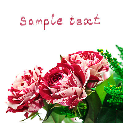 포토 JPG 해외이미지 식물 꽃잎 꽃 꽃다발 백그라운드 꽃무늬 텍스트 자연 선물 사람없음 빨간색 초록색 컬러풀 장미 머리 활발 벚꽃 흰색 신선 개화 자르기 다발 꽃봉오리 고립 카피스페이스 해외202004 해외포토 컬러 컨셉 무늬 모션 신체부위 공백 생태계 파일형식 이미지허브