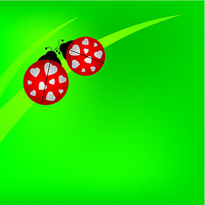 EPS 해외이미지 동물 디자인 커플 계절 곤충 결혼 백그라운드 컨셉 일러스트 자연 아이디어 발렌타인데이 사랑 장식 빨간색 초록색 여름 검은색 덮개 하트 신용카드 벌레 딱정벌레 생물학 무당벌레 내추럴 해외202004 해외일러스트 모양 교육 감정 컬러 관계 데이이벤트 이벤트 금융 뚜껑 생태계 파일형식 벡터 이미지허브