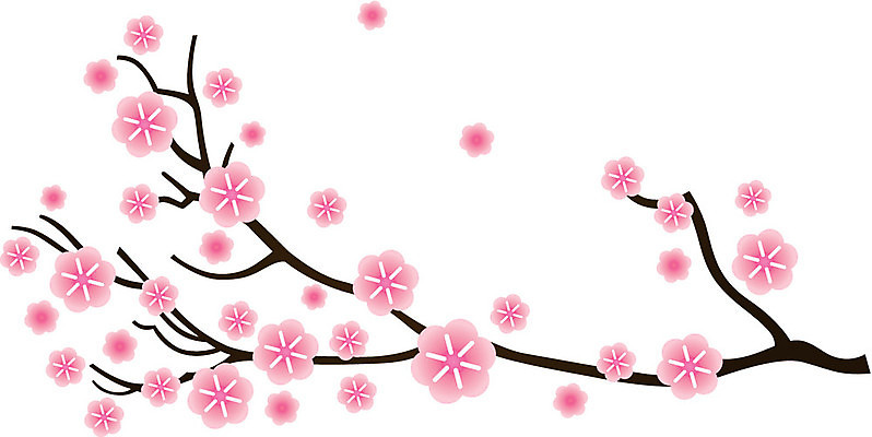 EPS 해외이미지 나무 식물 디자인 계절 꽃 아시아 분홍색 백그라운드 잎 꽃무늬 일러스트 자연 미술 동양인 장식 머리 일본 중국 봄 성장 벚꽃 흰색 나뭇가지 신선 체리 우아함 묘사 싱글 그림 심플 동쪽 자두 내추럴 고립 디테일 해외202004 해외일러스트 나라 컬러 컨셉 무늬 과일 문화예술 인종 신체부위 방향 생태계 파일형식 벡터 이미지허브