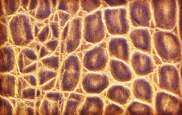 포토 JPG 해외이미지 동물 디자인 옷 산업 백그라운드 패턴 의자 자연 표면 날씨 추상 미술 사람없음 노란색 우주 어둠 줄무늬 수확 골동품 조약돌 직물 얼룩 거친 주름 가죽 유연 피부 질감 복고 날것 부드러움 결 한조각 내추럴 소가죽 숨기 엘리먼트 옛날 울퉁불퉁 카피스페이스 효과 해외202004 해외포토 1 컬러 가구 무늬 농업 모션 문화예술 신체부위 공백 돌_바위 감각 생태계 파일형식 이미지허브