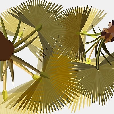 EPS 해외이미지 나무 식물 디자인 실루엣 백그라운드 컨셉 잎 꽃무늬 일러스트 자연 손바닥 그래픽 장식 초록색 컬러풀 정원 나뭇가지 부채 플랫 숲 인쇄 열대우림 내추럴 엘리먼트 이국적 테마 스타일 해외202004 해외일러스트 손 꽃 컬러 무늬 촬영기법 생태계 파일형식 벡터 이미지허브