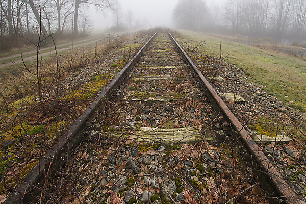 포토 JPG 해외이미지 식물 선 독일 사람없음 경계선 행운 동물상 보호구역 선로 자취 해외202004 해외포토 유럽 컨셉 조형물 경계 구역 파일형식 이미지허브