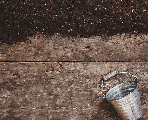 포토 JPG 해외이미지 계절 꽃 화분 백그라운드 컨셉 농업 자연 탁자 취미 사람없음 목재 초록색 세트 정원 봄 장비 물뿌리개 회색 성장 도구 공구 정상 삽 삼베 양동이 물주기 원예 데이지 갈퀴 구성 정물화 해외202004 해외포토 나무 식물 산업 컬러 가구 재료 모션 그림 생태계 파일형식 천_직물 이미지허브