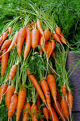 포토 JPG 해외이미지 음식 백그라운드 다이어트 채소 오렌지 과일 건강 사람없음 컬러풀 쌓기 당근 신선 다발 날것 숙성 해외202004 해외포토 컬러 모션 뿌리채소 파일형식 이미지허브