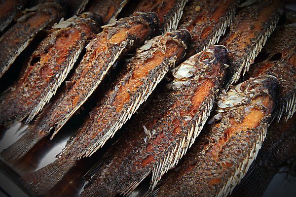 포토 JPG 해외이미지 전통 문화 음식 바다 재료 뼈 건강 저울 어류 요리 동양인 사람없음 식당 식사 튀김 신선 뜨거움 시장 맛 오브젝트 준비 고립 깊이 단백질 해외202004 해외포토 컨셉 인종 상점 수중동물 영양소 파일형식 이미지허브