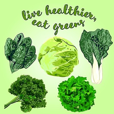 EPS 해외이미지 클립아트 식물 디자인 음식 컨셉 잎 농업 다이어트 채소 일러스트 재료 건강 요리 초록색 농장 머리 주방 정원 식사 샐러드 수확 신선 시장 상추 먹기 유기농 양배추 날것 내추럴 숙성 온실 채식주의자 콜라비 그리너리 비건 해외202004 해외일러스트 웰빙 산업 컬러 모션 신체부위 채식 파일형식 벡터 트랜드컬러 이미지허브