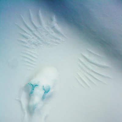 포토 JPG 해외이미지 동물 계절 백그라운드 겨울 패턴 자국 모션 발 자연 표시 조류 표면 사람없음 야외 숫자 얼음 추위 흰색 인쇄 발자국 왼쪽 깃털 서리 이륙 선로 자취 각인 해외202004 해외포토 자연요소 문자 컬러 무늬 신체부위 방향 생태계 파일형식 이미지허브