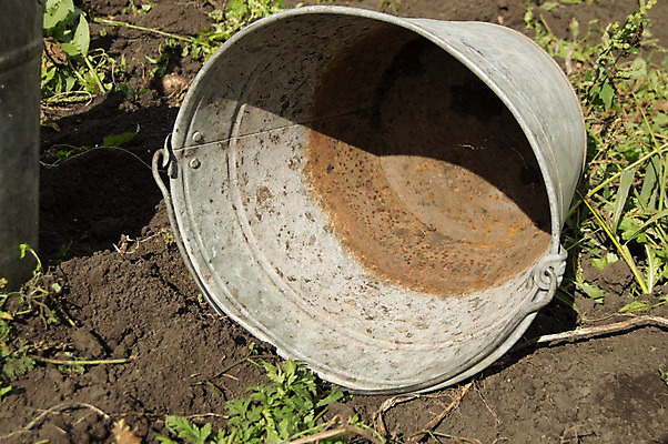 포토 JPG 해외이미지 2 농업 주택 통 손잡이 사람없음 야외 농장 농경지 바구니 환경 금속 정원 흙 목장 펼침 장비 수확 공구 시골 업무 작음 컨테이너 수집 철 양동이 오브젝트 부식 원예 복고 수납 낭비 갈퀴 고물 옛날 철강 아연 해외202004 해외포토 산업 컨셉 모션 재질 취미 건물 도구 작업 크기 영양소 파일형식 이미지허브