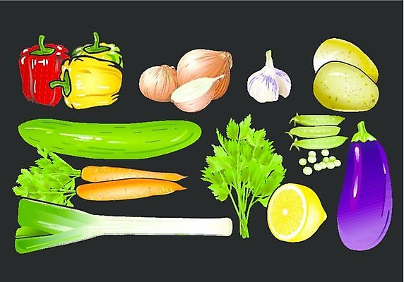 EPS 해외이미지 음식 농업 채소 일러스트 재료 가지 양파 오이 감자 파프리카 파슬리 건강 마늘 요리 초록색 여름 주방 정원 저녁식사 당근 맛 레몬 완두콩 향 내추럴 채식주의자 해외202004 해외일러스트 계절 산업 컬러 컨셉 과일 콩 뿌리채소 식사 채식 파일형식 벡터 이미지허브