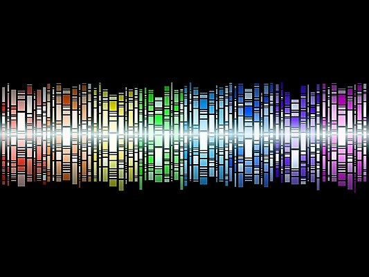 EPS 해외이미지 포스터 선 백그라운드 일러스트 모션 벽지 추상 미술 경사 그래픽 컬러풀 줄무늬 덮개 투명 타일 덮기 그라데이션 구성 스펙트럼 줄서기 타격 스타일 효과 해외202004 해외일러스트 컬러 무늬 문화예술 뚜껑 파일형식 벡터 이미지허브