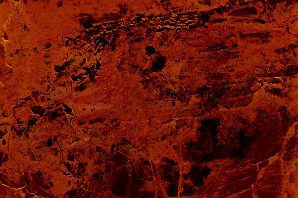 포토 JPG 해외이미지 나무 디자인 백그라운드 잎 패턴 밭 자연 벽지 추상 산 이끼 사람없음 햇빛 갈색 습기 젖음 촉촉함 안개 나뭇가지 소나무 숲 에코 질감 통나무 부드러움 암초 공상 효과 해외202004 해외포토 식물 컬러 무늬 농업 날씨 태양 환경 감각 생태계 파일형식 이미지허브