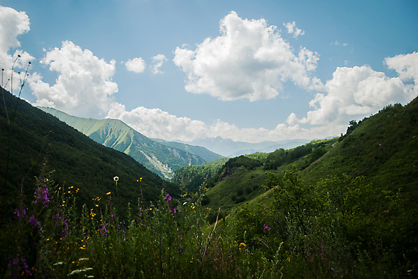 포토 JPG 해외이미지 식물 백인 꽃 스포츠 여행 휴가 산 사람없음 초록색 파란색 남쪽 추적 조지아 해외202004 해외포토 서양인 컬러 모션 방향 동유럽 파일형식 이미지허브